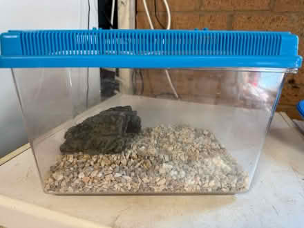 Photo of free Small fish tank (plastic) (Gosforth NE3) #2