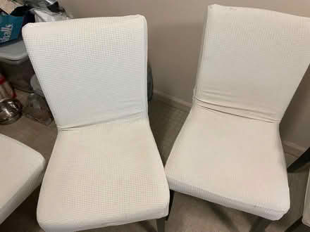 Photo of free 6 Dining room chairs (Thomas point area) #2