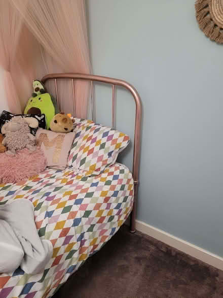 Photo of free Spray painted pink metallic bed (Sale M33) #2