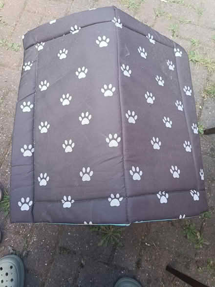 Photo of free Dog/Cat house (Yardley, B25, Birmingham) #3