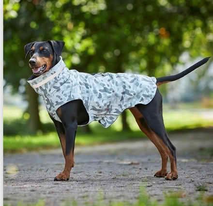 Photo of free Fleece lined waterproof dog jacket (M6 - near Duchy road/Heights) #1