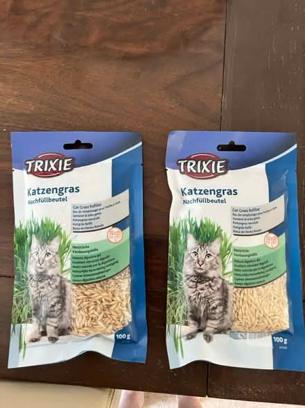 Photo of free Cat grass seeds (Stevenage SG1) #1
