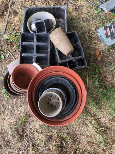 Photo of free Plastic plant pots (Bradley ST18) #1