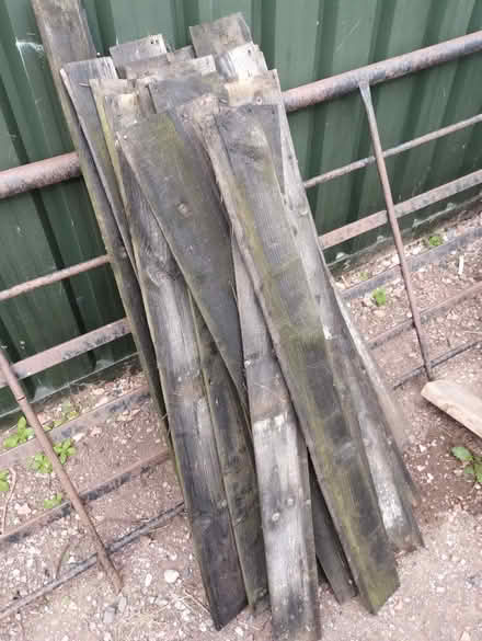 Photo of free Featheredge boards (Much Cowarne HR7) #1