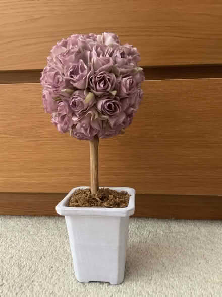 Photo of free Decorative small fake plant (TW17 Shepperton) #1
