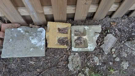 Photo of free Broken Pavers (Berwyn Heights) #4