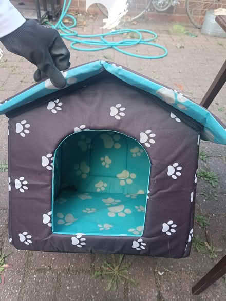 Photo of free Dog/Cat house (Yardley, B25, Birmingham) #1