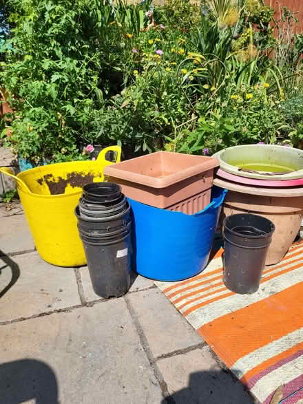 Photo of free Array of Pots (CT11) #1