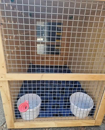 Photo of free Dog travel crate (RG4) #1