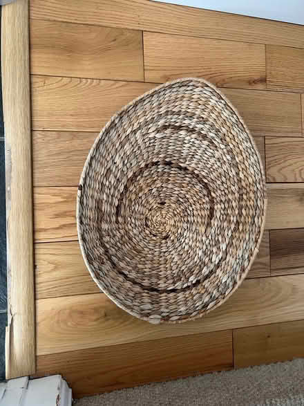 Photo of free Tray (Finchampstead RG40) #1