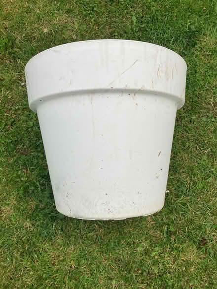Photo of free Large Cream plant pot (Kilcoole) #1