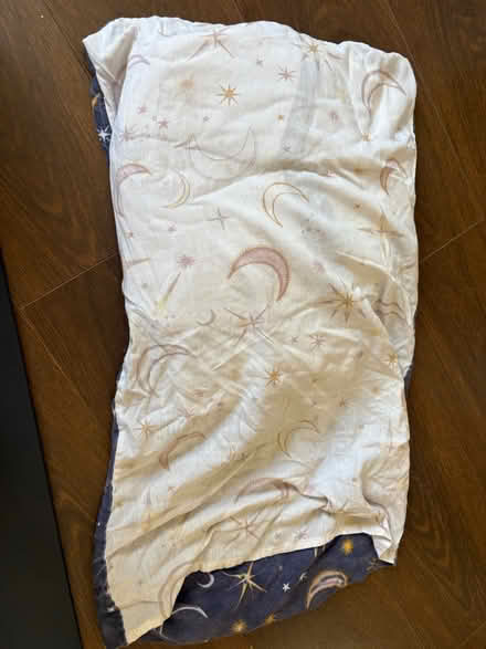 Photo of free Reversible king size bedding (L13) #2