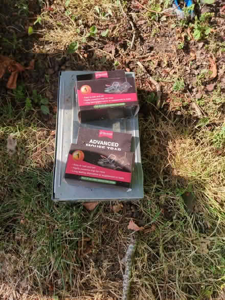 Photo of free Three mouse traps (Bradley ST18) #1