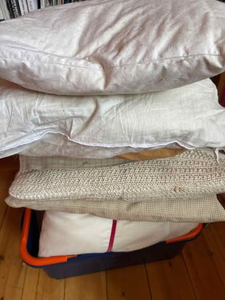 Photo of free Nine old cushions (NW2) #1
