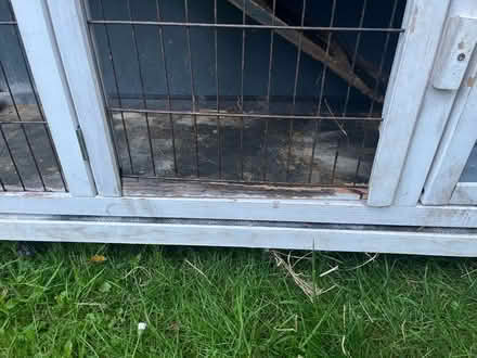 Photo of free Small animal (rabbit guinea pig) cage. (Bowerham LA1) #3