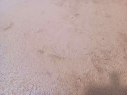 Photo of free 2 beige/cream rugs (Kidlington OX5) #2