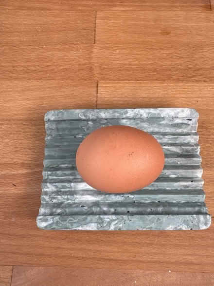 Photo of free Ceramic soap dish in sage green (NW2) #2