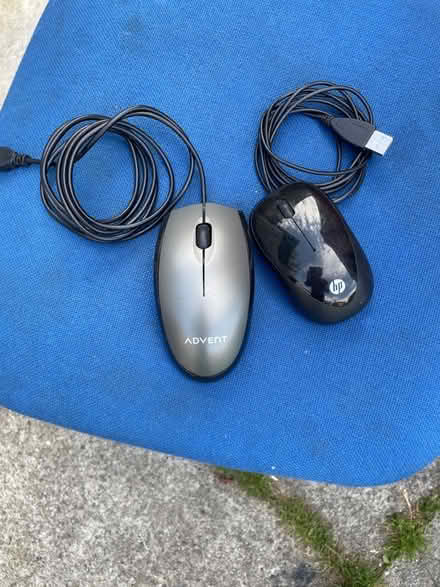 Photo of free Mice (AB24) #1