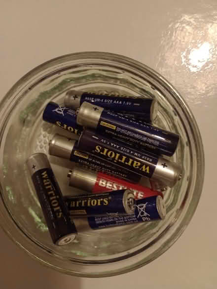 Photo of free Batteries (Carrington M31) #2