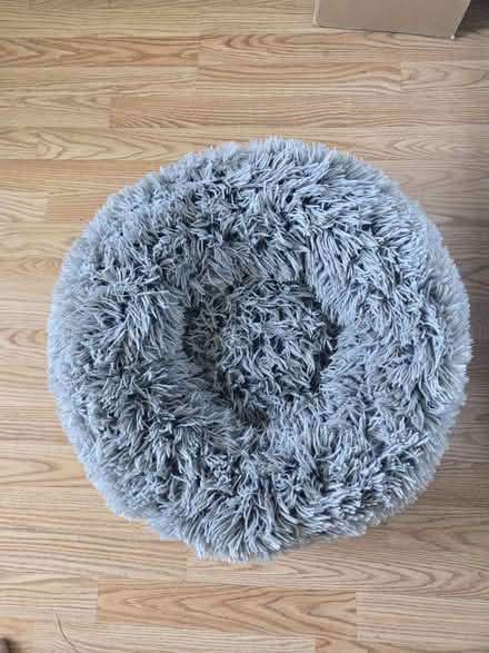 Photo of free Small pet bed (Takoma DC) #1