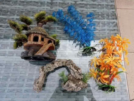 Photo of free Small fish tank and accessories (Blaby LE8) #2