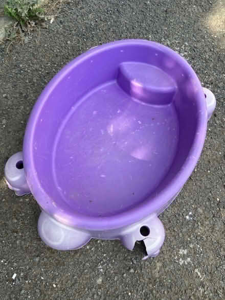 Photo of free Purple turtle for sand / water (Castlefields) #1