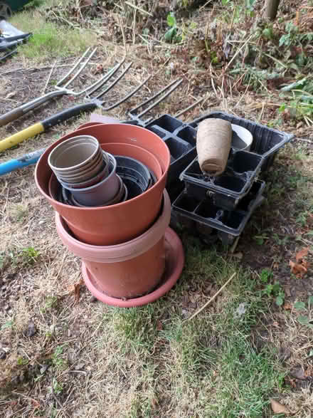 Photo of free Plastic plant pots (Bradley ST18) #2