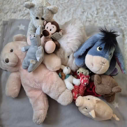 Photo of free Soft Toys (Leigh Park PO9) #1