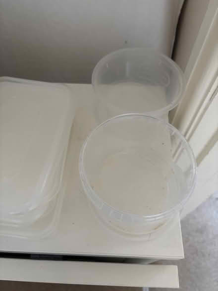 Photo of free 12 x takeaway boxes with lids (Lemsford AL8) #2