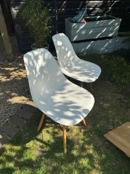 Photo of free 2 dining chairs (Alexandra Palace, London, N22) #1