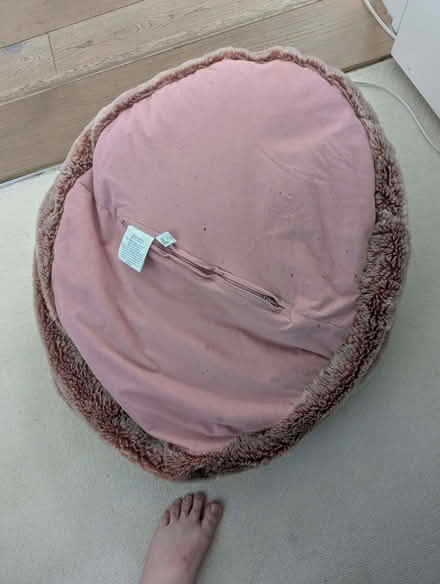 Photo of free pink chilren's bean bag (Petersfield Ward CB1) #2