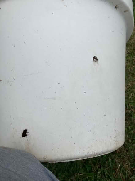 Photo of free Large Cream plant pot (Kilcoole) #3