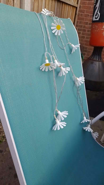 Photo of free Daisy Solar Lights (Chaddesden DE21) #1