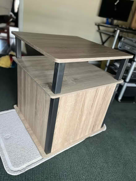 Photo of free litter box enclosure (Washington, DC, 20003) #4