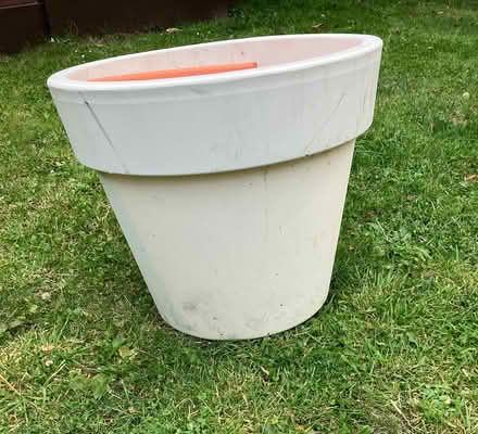 Photo of free Large Cream plant pot (Kilcoole) #2