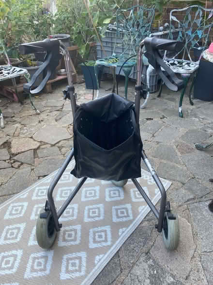 Photo of free Walker (AL1) #1