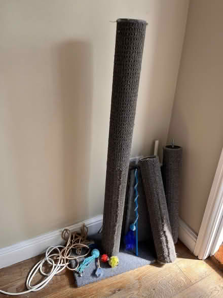 Photo of free Cat tree (+ misc cat toys) (North City NR3) #1