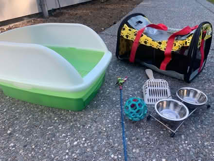 Photo of free Cat lovers (Near Angel of the Winds casino) #1