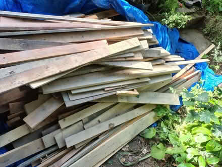 Photo of free Wood (Lakenham NR1) #2