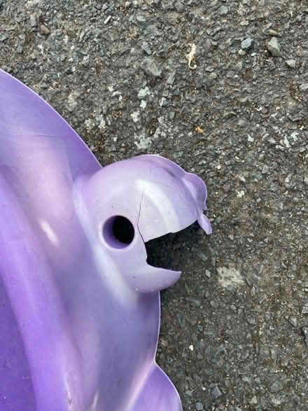 Photo of free Purple turtle for sand / water (Castlefields) #3