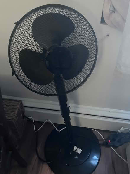 Photo of free Pedestal Fan (Takoma, DC) #1