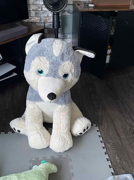 Photo of free Very large stuffed dog (Thringstone LE67) #1