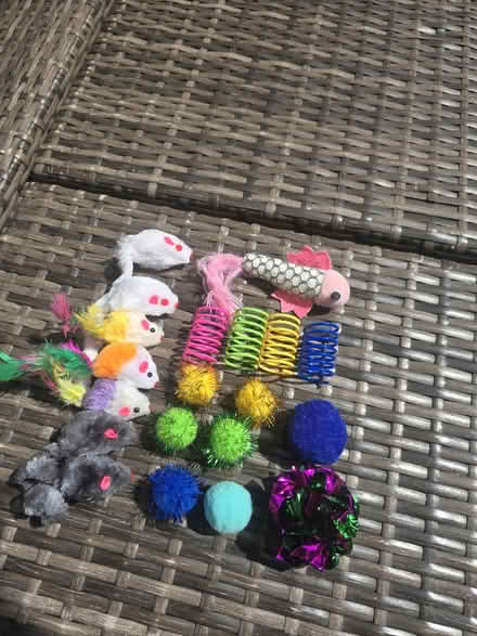 Photo of free Cat toys (HP11) #1