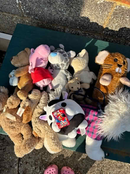 Photo of free Lots of teddies (Princes Risborough) #2