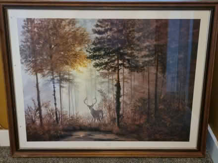 Photo of free Framed print - "Quiet Forest" (Foxton) #1