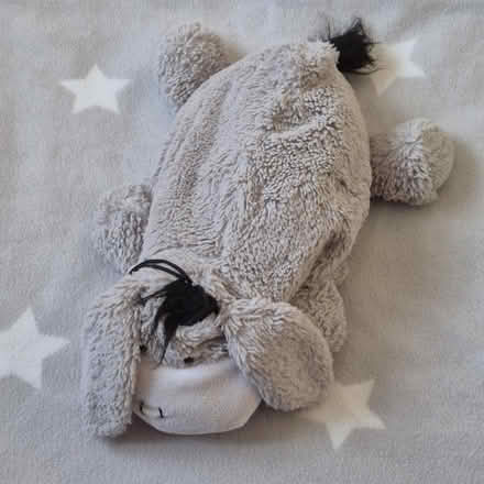 Photo of free Eeyore Hot Water Bottle (Leigh Park PO9) #1