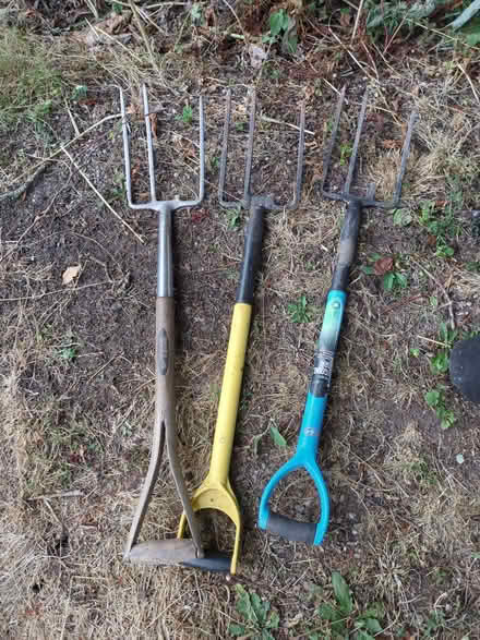Photo of free Three garden forks, each missing a tine (Bradley ST18) #1