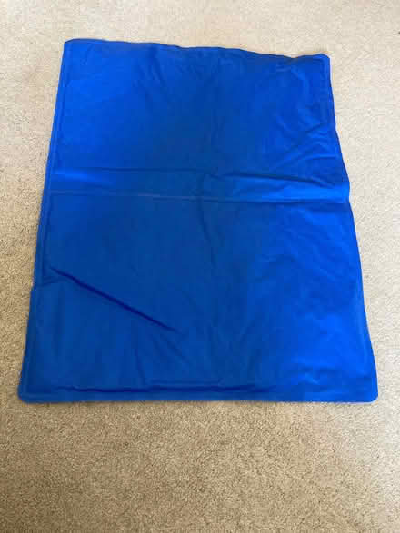 Photo of free Dog cooling mat (Up Hatherley GL51) #1