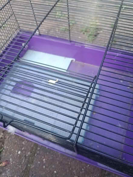 Photo of free Small pet cage (Yardley, B25, Birmingham) #2