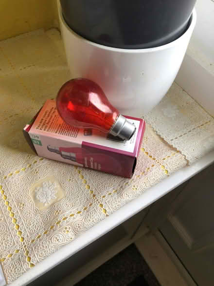 Photo of free Red bulb (Goldenacre EH5) #1